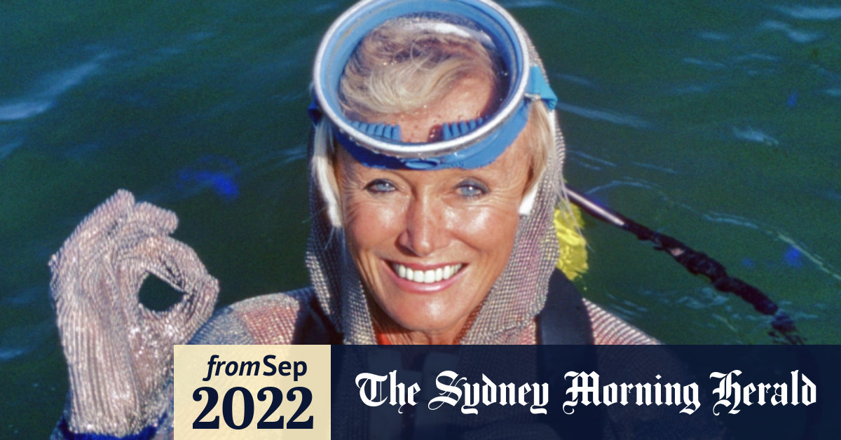 What to do if a shark attacks you Valerie Taylor